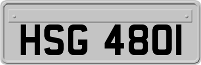 HSG4801