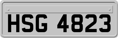 HSG4823