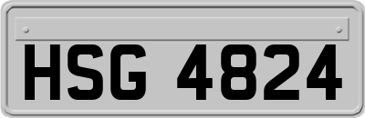 HSG4824