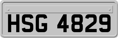 HSG4829