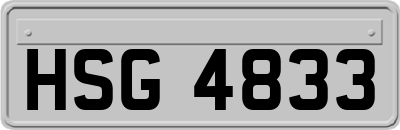 HSG4833
