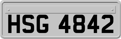 HSG4842