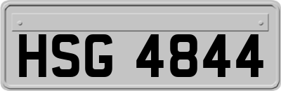 HSG4844