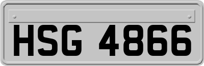 HSG4866