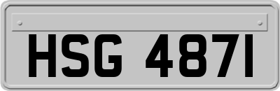 HSG4871