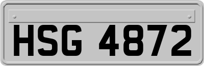 HSG4872