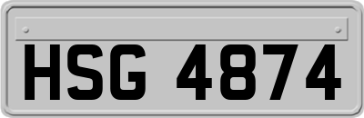 HSG4874
