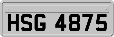 HSG4875