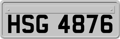 HSG4876