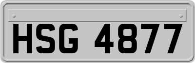 HSG4877