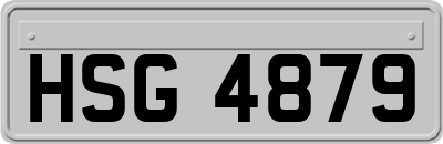 HSG4879