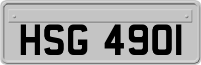 HSG4901