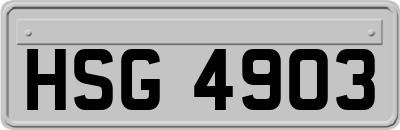 HSG4903