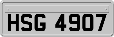 HSG4907