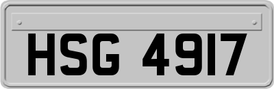 HSG4917