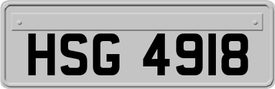 HSG4918