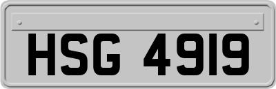 HSG4919