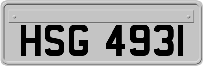 HSG4931