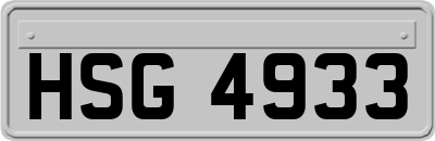 HSG4933