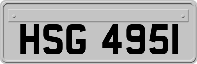 HSG4951