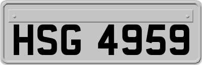HSG4959
