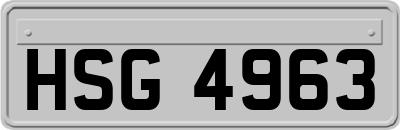 HSG4963