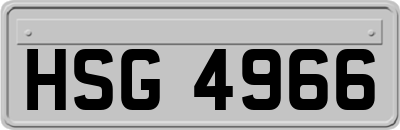 HSG4966