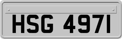 HSG4971