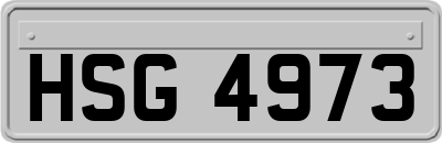 HSG4973