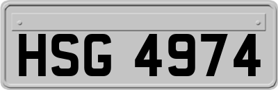 HSG4974