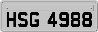 HSG4988