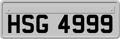 HSG4999