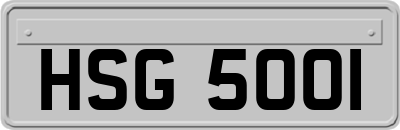 HSG5001
