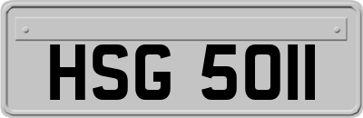 HSG5011