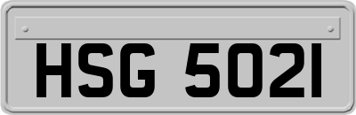 HSG5021