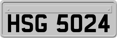 HSG5024