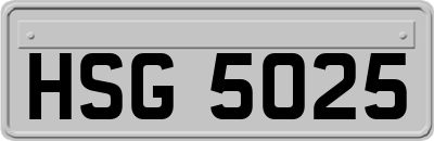 HSG5025