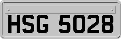 HSG5028