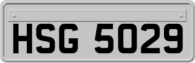 HSG5029
