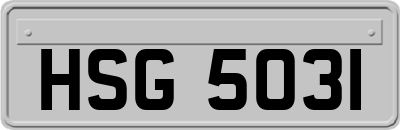 HSG5031