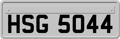 HSG5044