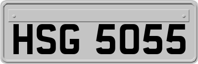 HSG5055