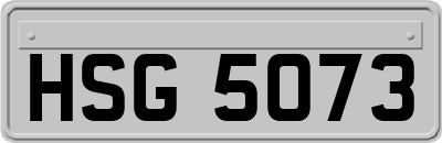 HSG5073