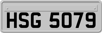 HSG5079