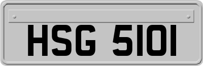 HSG5101