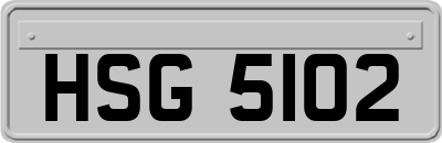 HSG5102