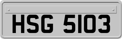 HSG5103