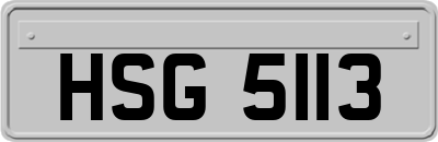 HSG5113