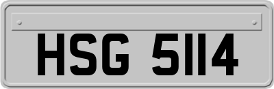 HSG5114