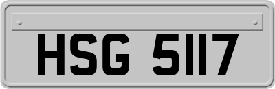 HSG5117